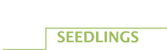 www.gordanseedlings.hu